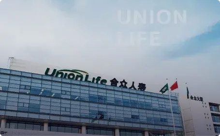 Union Life Insurance